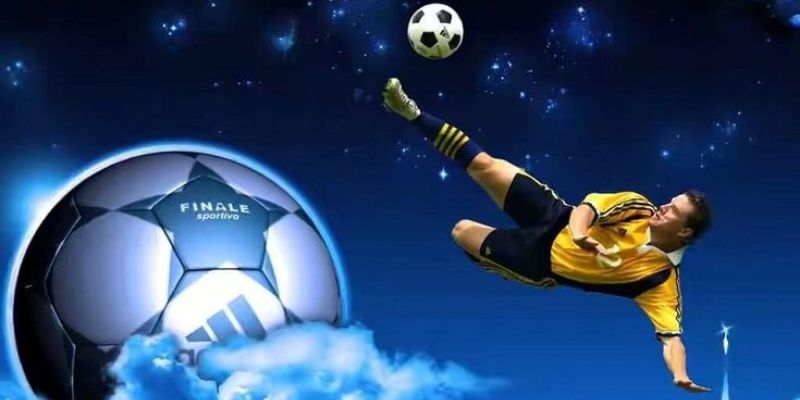 Những kinh nghiệm của nhà cái