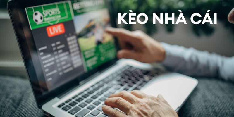 Tổng quan về kèo nhà cái FM88