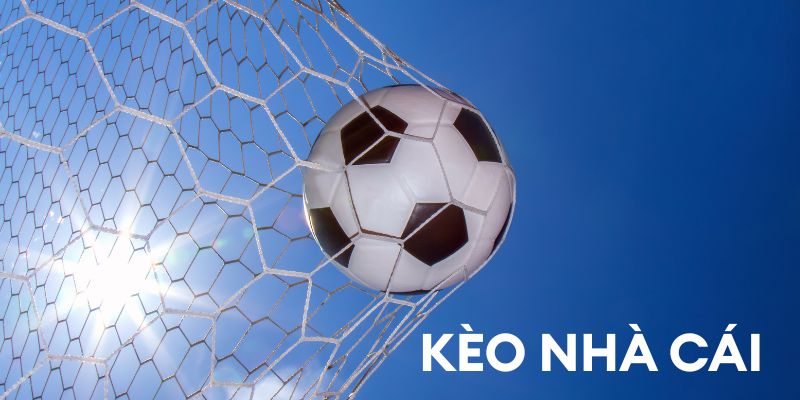 Tổng quan về kèo nhà cái Net88