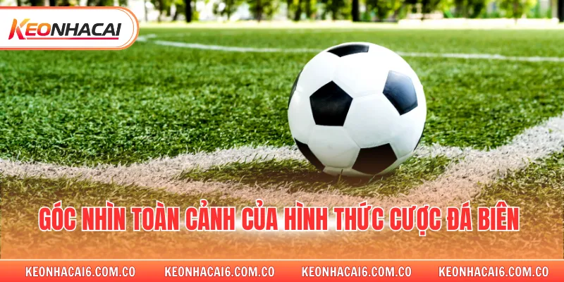 Góc nhìn toàn cảnh của hình thức cược đá biên 