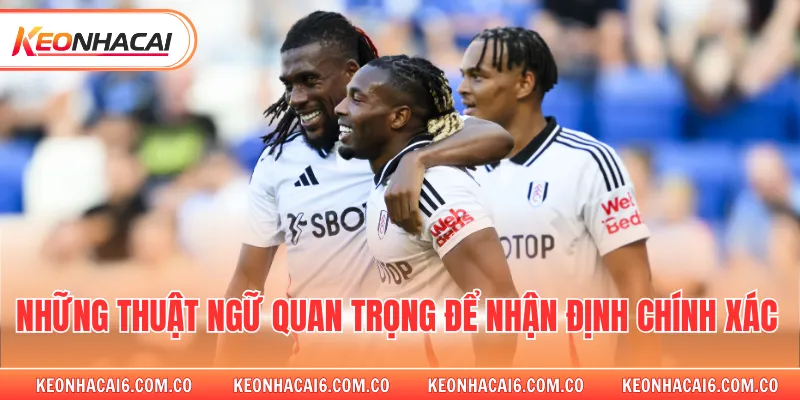 Những thuật ngữ quan trọng để nhận định chính xác 