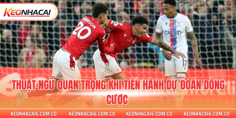 Thuật ngữ quan trọng khi tiến hành dự đoán dòng cược 